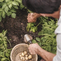 Fiskars Plantenschep -Tuingereedschap Verkoop 123 1071