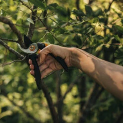 Fiskars Snoeischaar P321 -Tuingereedschap Verkoop 123 829