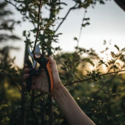 Fiskars Snoeischaar P721 -Tuingereedschap Verkoop 123 852